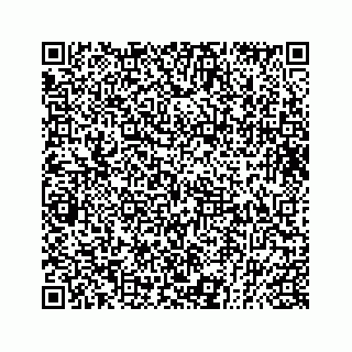 vCard 73832881599