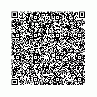 vCard 73832886002