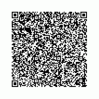 vCard 73832886784
