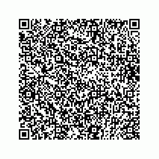 vCard 73832931900
