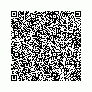 vCard 73832932001
