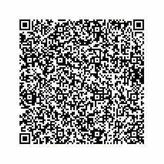 vCard 73832932003