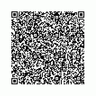 vCard 73832934003