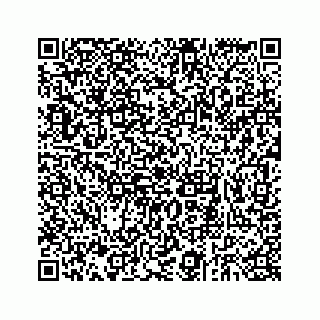 vCard 73832934208