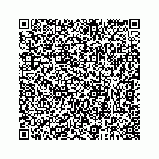 vCard 73832939113