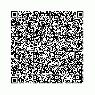 vCard 73832945293