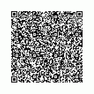 vCard 73832949138