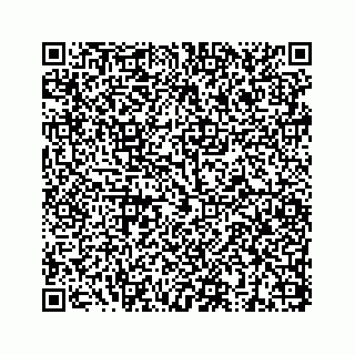 vCard 73832949221