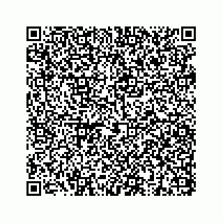 vCard 73832949284