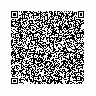 vCard 73832949311