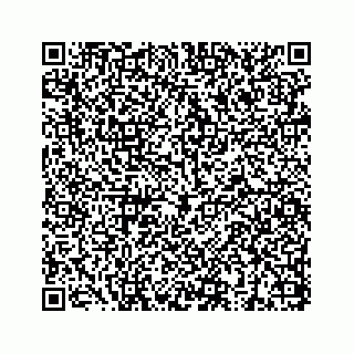 vCard 73832949312