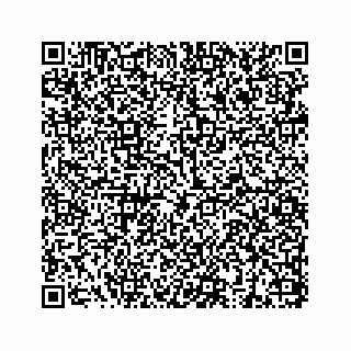 vCard 73832949319