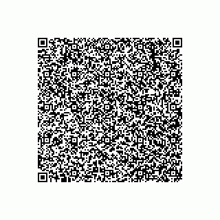 vCard 73833000001
