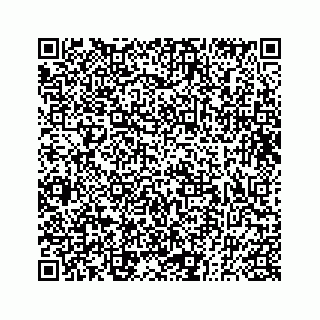 vCard 73833000138