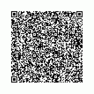 vCard 73833004010