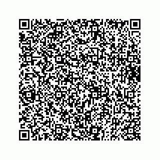 vCard 73833004103