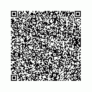vCard 73833004106
