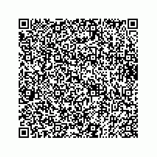vCard 73833004113