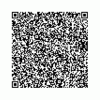 vCard 73833004117