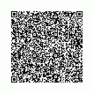 vCard 73833004128