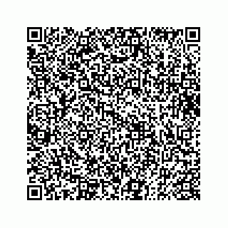 vCard 73833004131