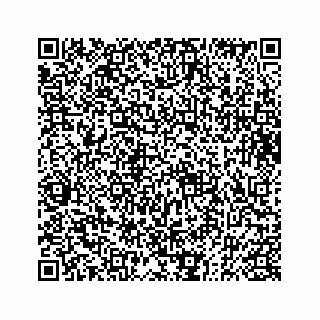 vCard 73833004152