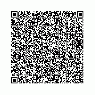 vCard 73833004166