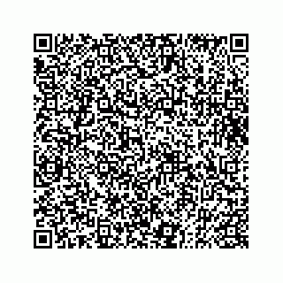 vCard 73833004189
