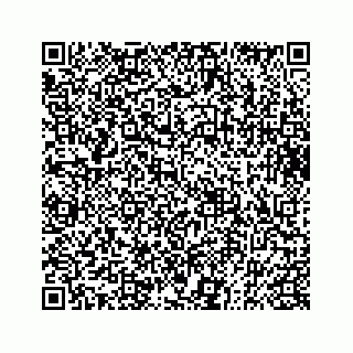 vCard 73833004203