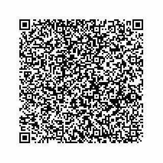 vCard 73833004207