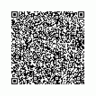 vCard 73833004228