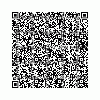 vCard 73833004229