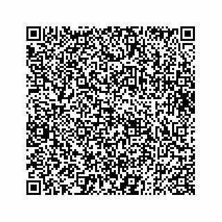 vCard 73833004235