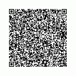 vCard 73833004239