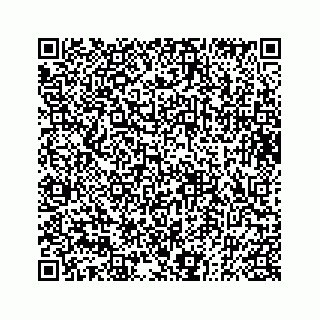 vCard 73833004242