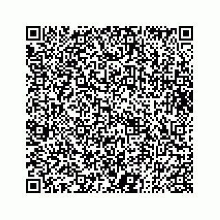 vCard 73833004245