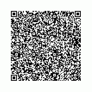 vCard 73833004248