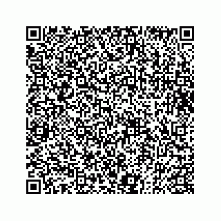 vCard 73833004249