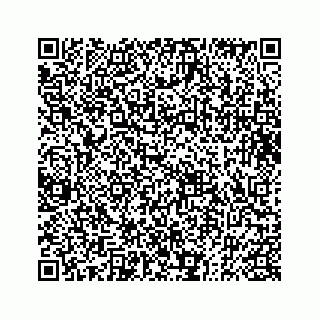 vCard 73833004251