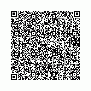 vCard 73833004252