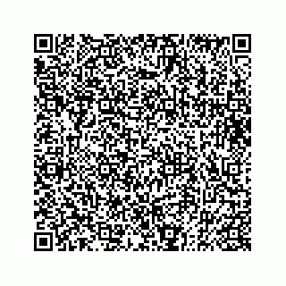 vCard 73833004254