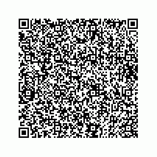 vCard 73833004259