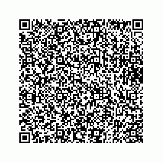 vCard 73833004263