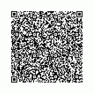 vCard 73833004276