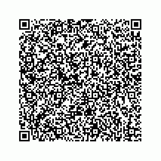vCard 73833004304