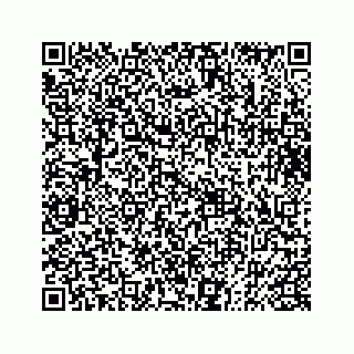 vCard 73833004307