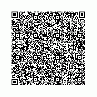 vCard 73833004308