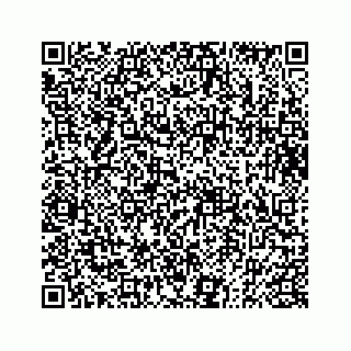 vCard 73833004382
