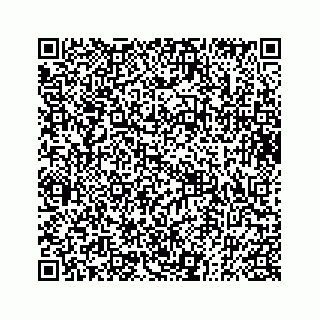 vCard 73833004393