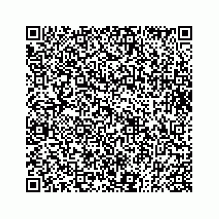 vCard 73833004409